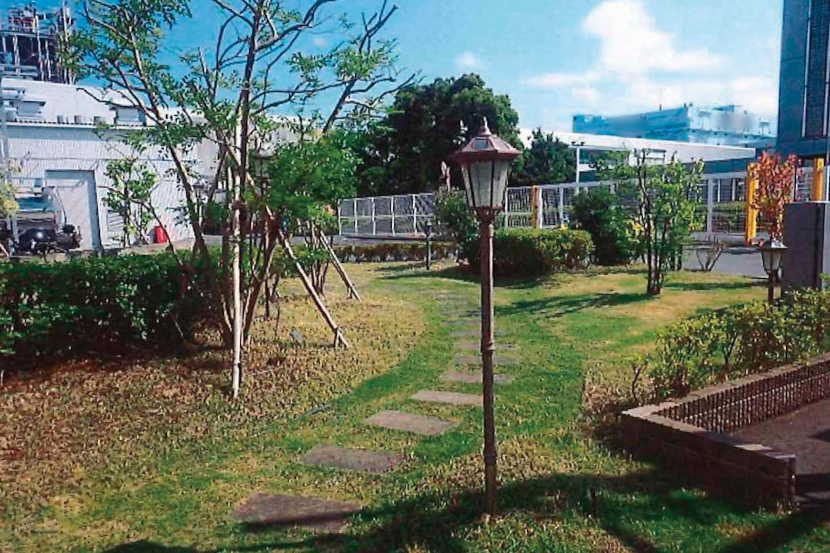 緑地の整備（緑の広場）